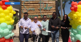 Where are the San Pedro Artisan Market Vendors?