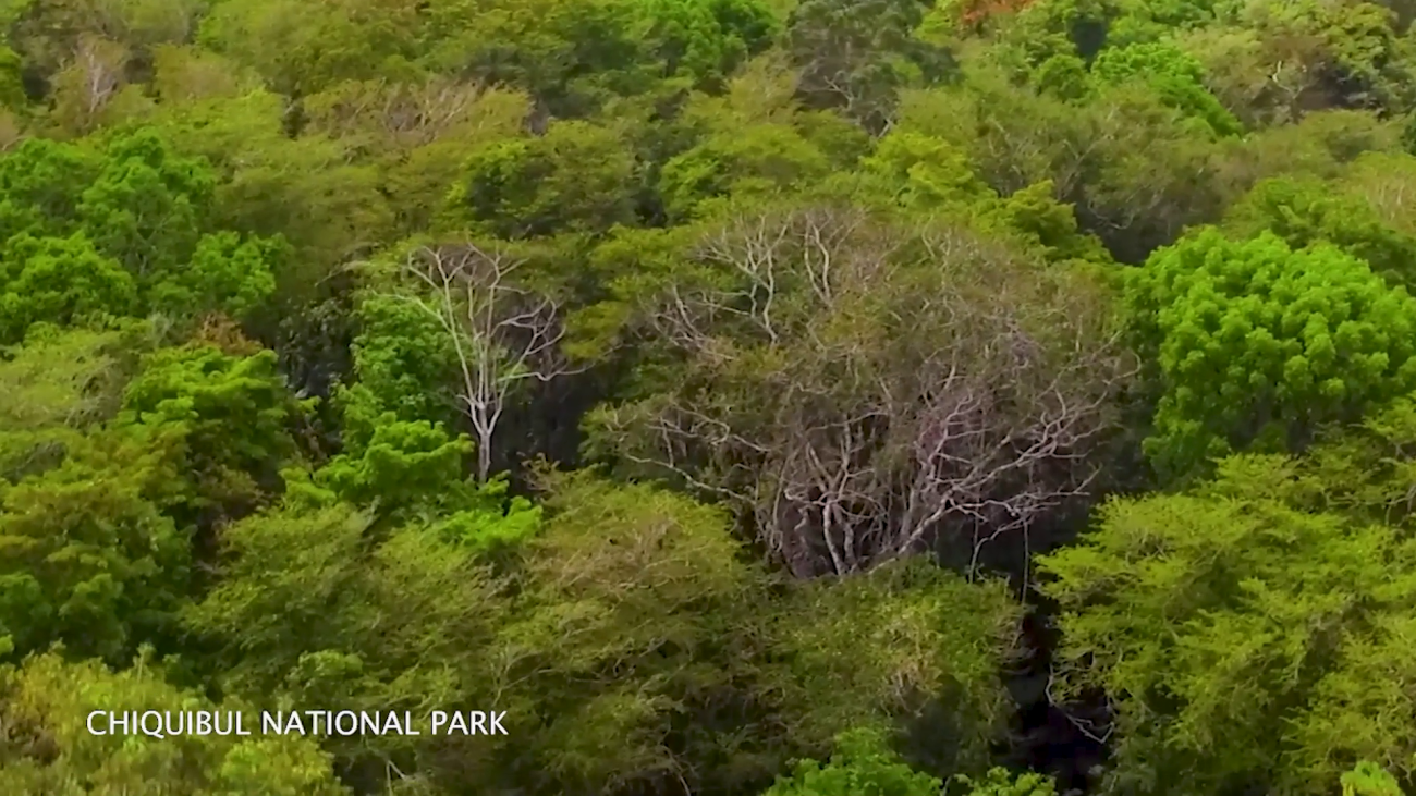 New Ranger Base Strengthens Chiquibul Protection Efforts
