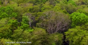 New Ranger Base Strengthens Chiquibul Protection Efforts