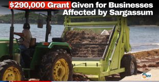 $290,000 Grant Given for Businesses Affected by Sargassum