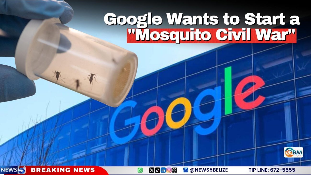 Google Wants to Start a "Mosquito Civil War"