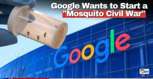 Google Wants to Start a 