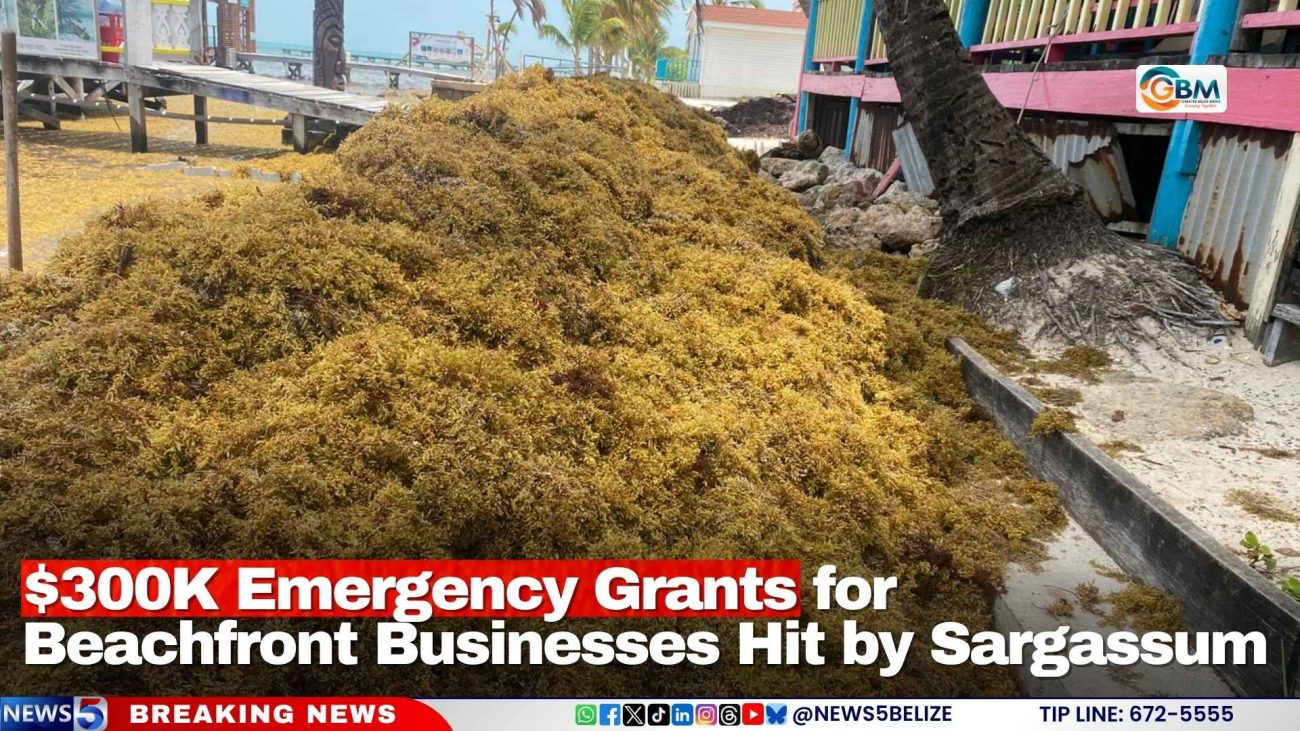 $300K Emergency Grants for Beachfront Businesses Hit by Sargassum
