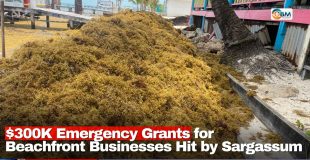 $300K Emergency Grants for Beachfront Businesses Hit by Sargassum