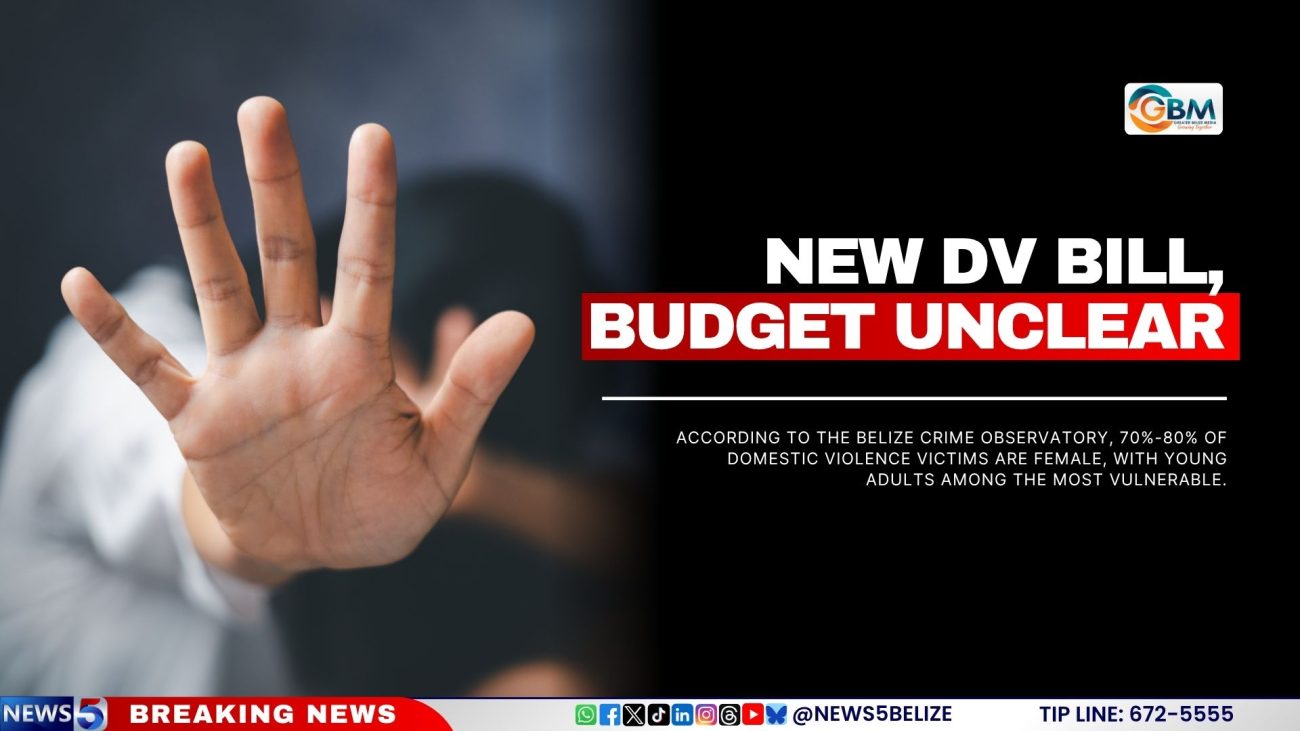 New DV Bill, Budget Unclear