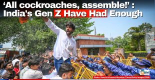 ‘All cockroaches, assemble!’: India's Gen Z Have Had Enough