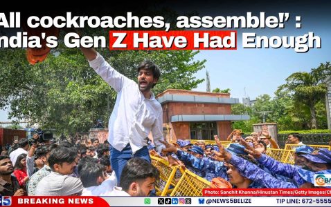 ‘All cockroaches, assemble!’: India's Gen Z Have Had Enough