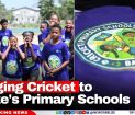 Bringing Cricket to Belize's Primary Schools