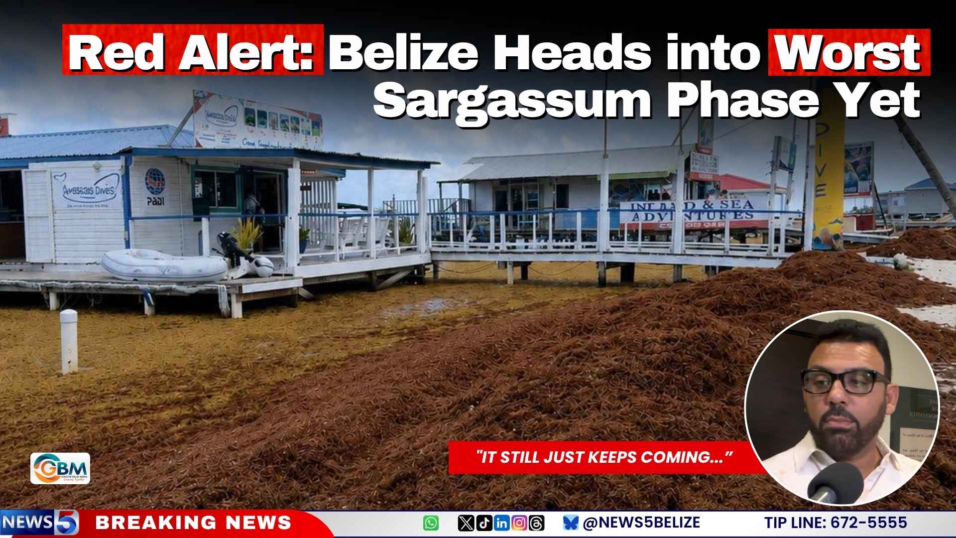 Red Alert: Belize Heads into Worst Sargassum Phase Yet