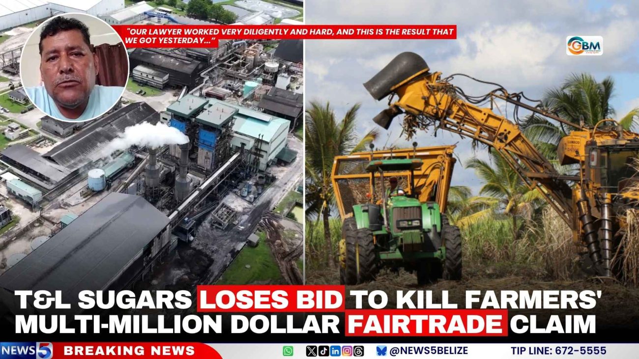 T&L Sugars Loses Bid to Kill Farmers' Multi-Million Dollar Fairtrade Claim