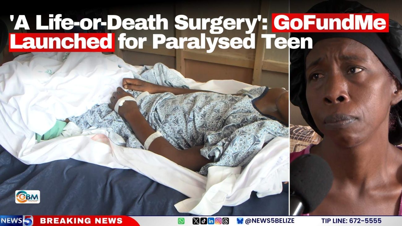 'A Life-or-Death Surgery': GoFundMe Launched for Paralysed Teen