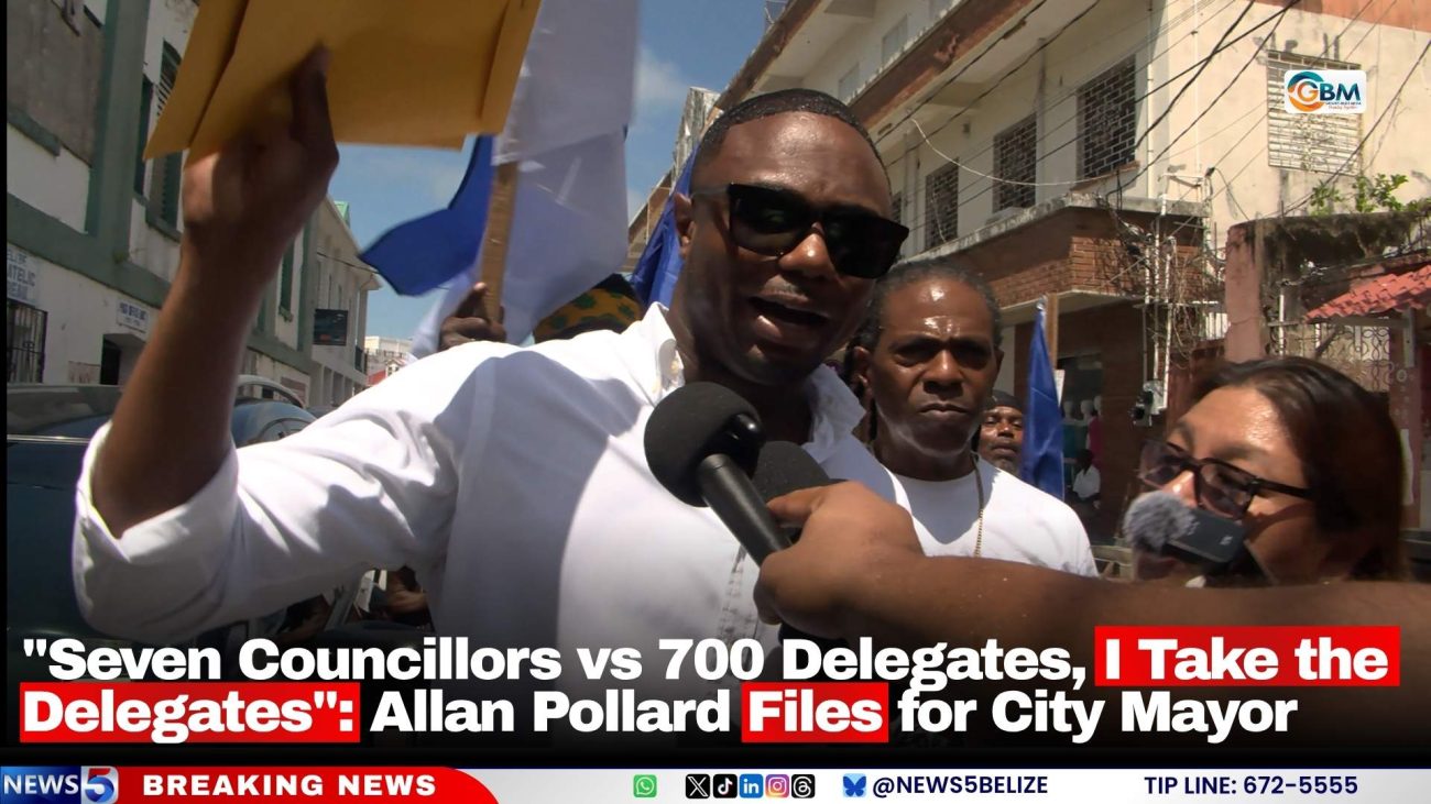 "Seven Councillors vs 700 Delegates, I Take the Delegates": Allan Pollard Files for City Mayor