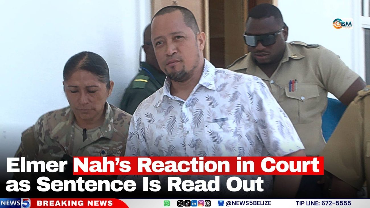 Elmer Nah’s Reaction in Court as Sentence Is Read Out