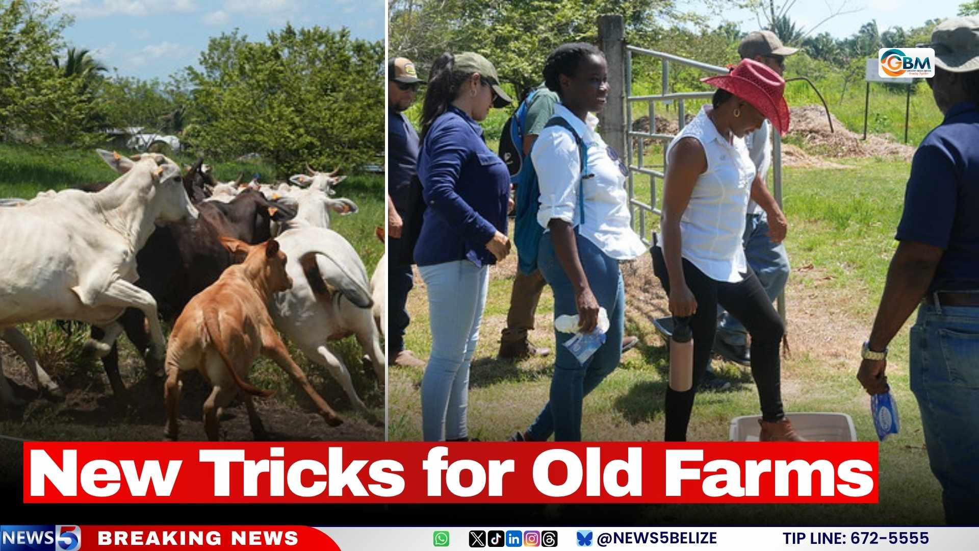 New Tricks for Old Farms