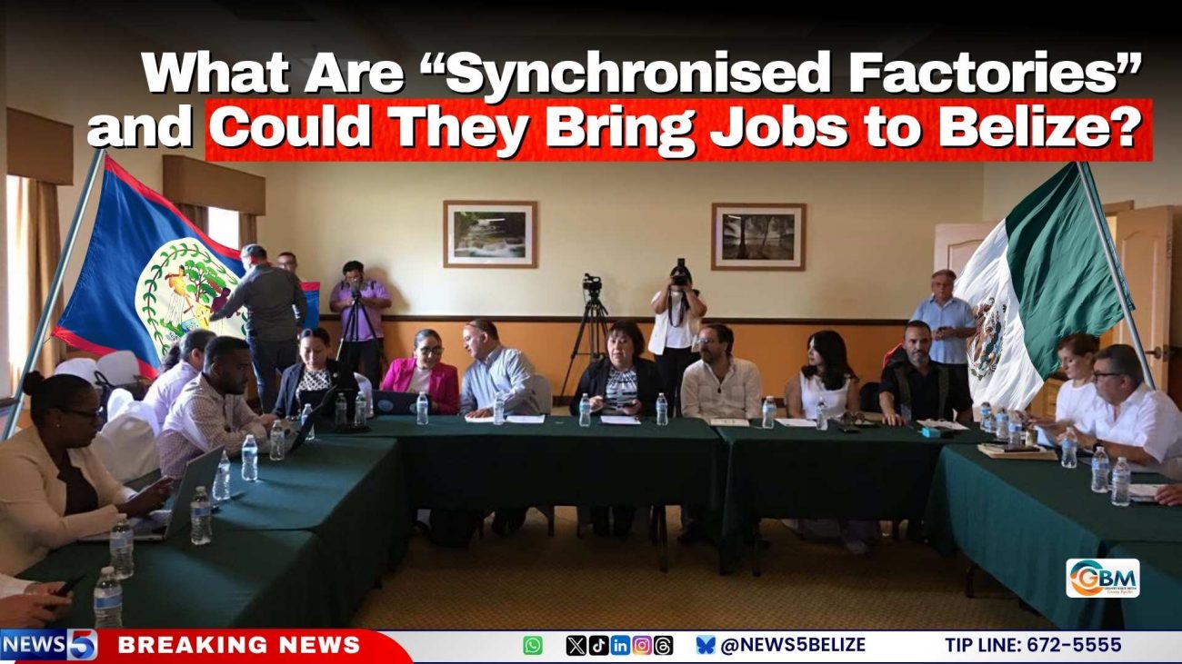 What Are “Synchronised Factories” and Could They Bring Jobs to Belize?