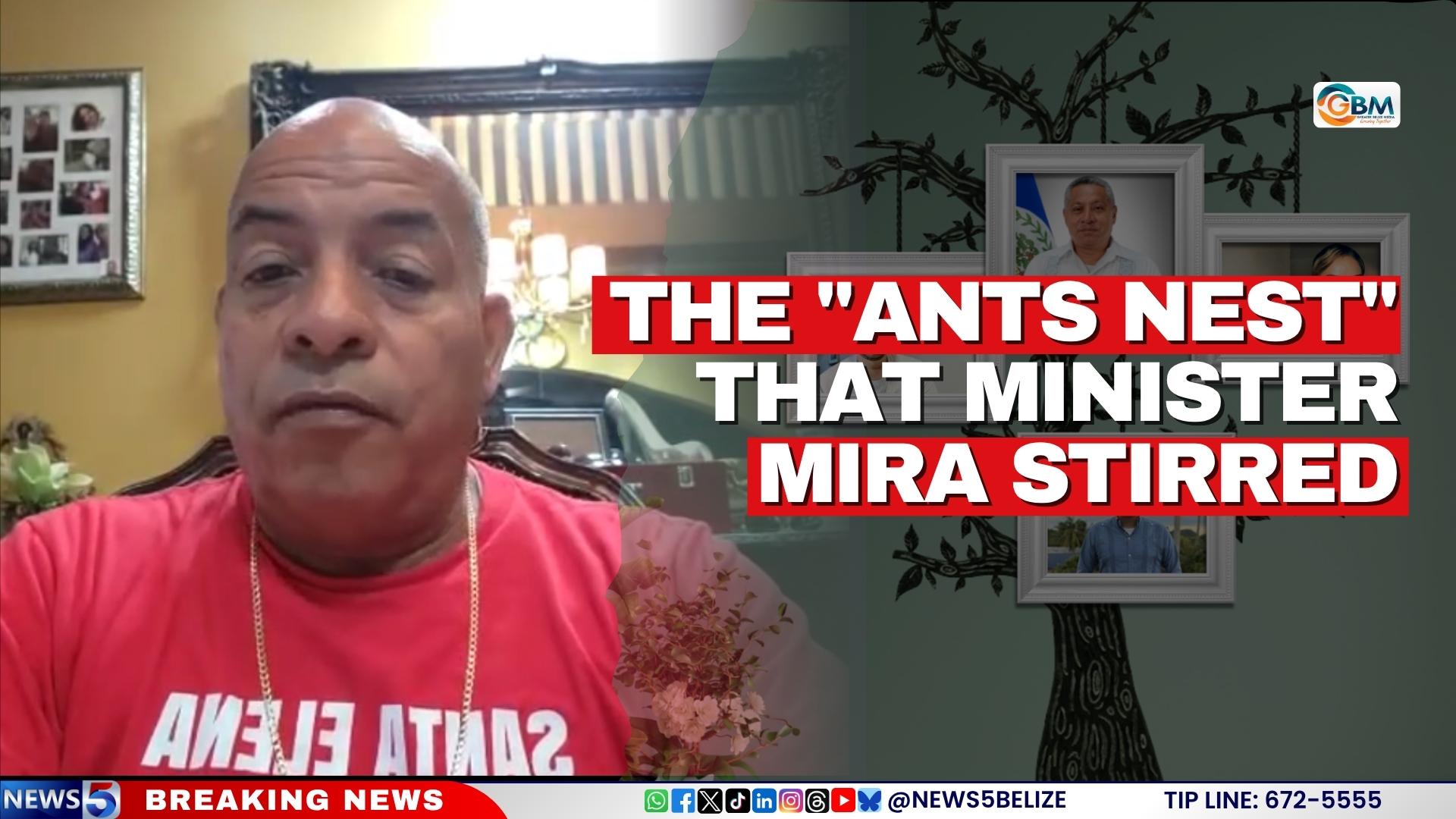 The "Ants Nest" That Minister Mira Stirred
