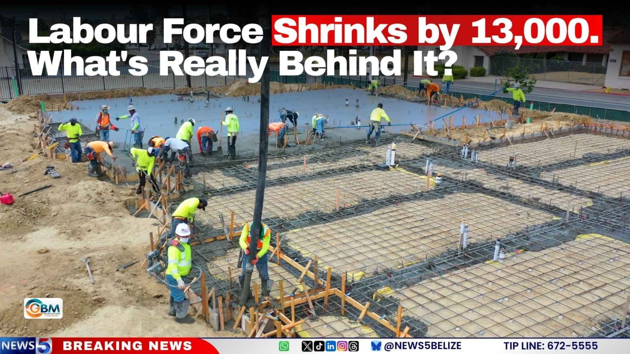 Labour Force Shrinks by 13,000. What's Really Behind It?