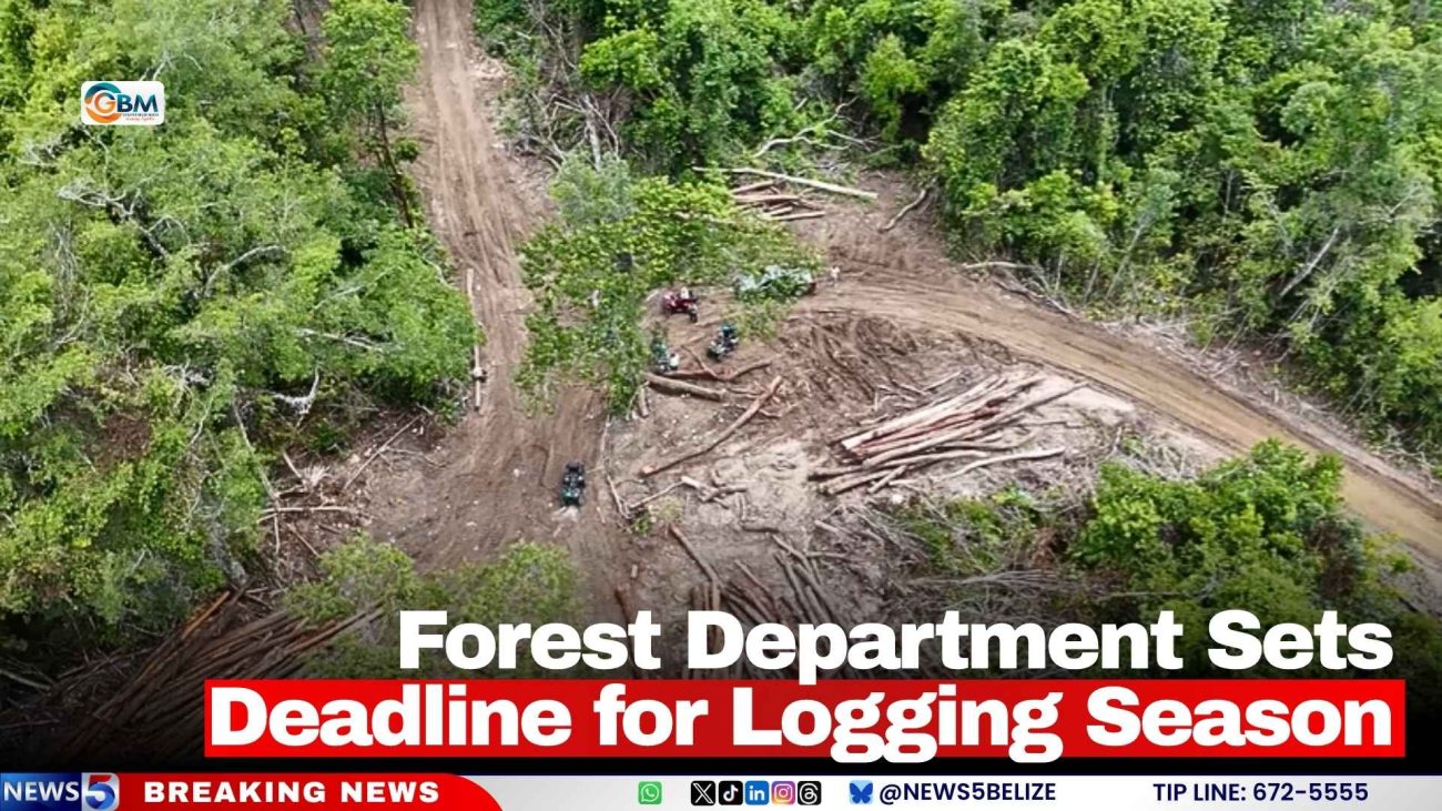 Forest Department Sets Deadline for Logging Season