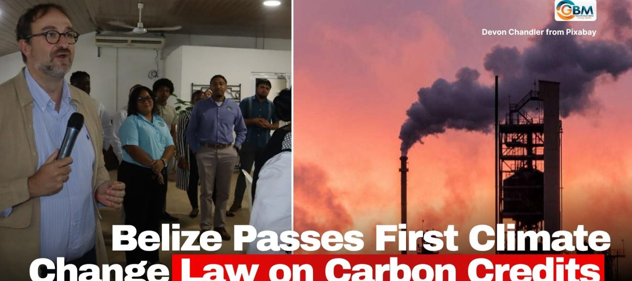 Belize Passes First Climate Change Law on Carbon Credits