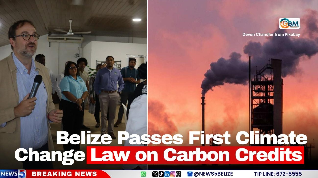 Belize Passes First Climate Change Law on Carbon Credits