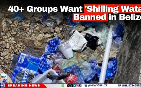 40+ Groups Want 'Shilling Wata' Banned in Belize