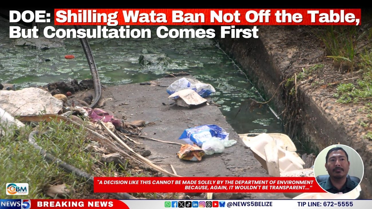 DOE: Shilling Wata Ban Not Off the Table, But Consultation Comes First