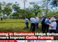 Training in Guatemala Helps Belizean Farmers Improve Cattle Farming