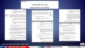 What the Cybercrime Law Was Actually Built For