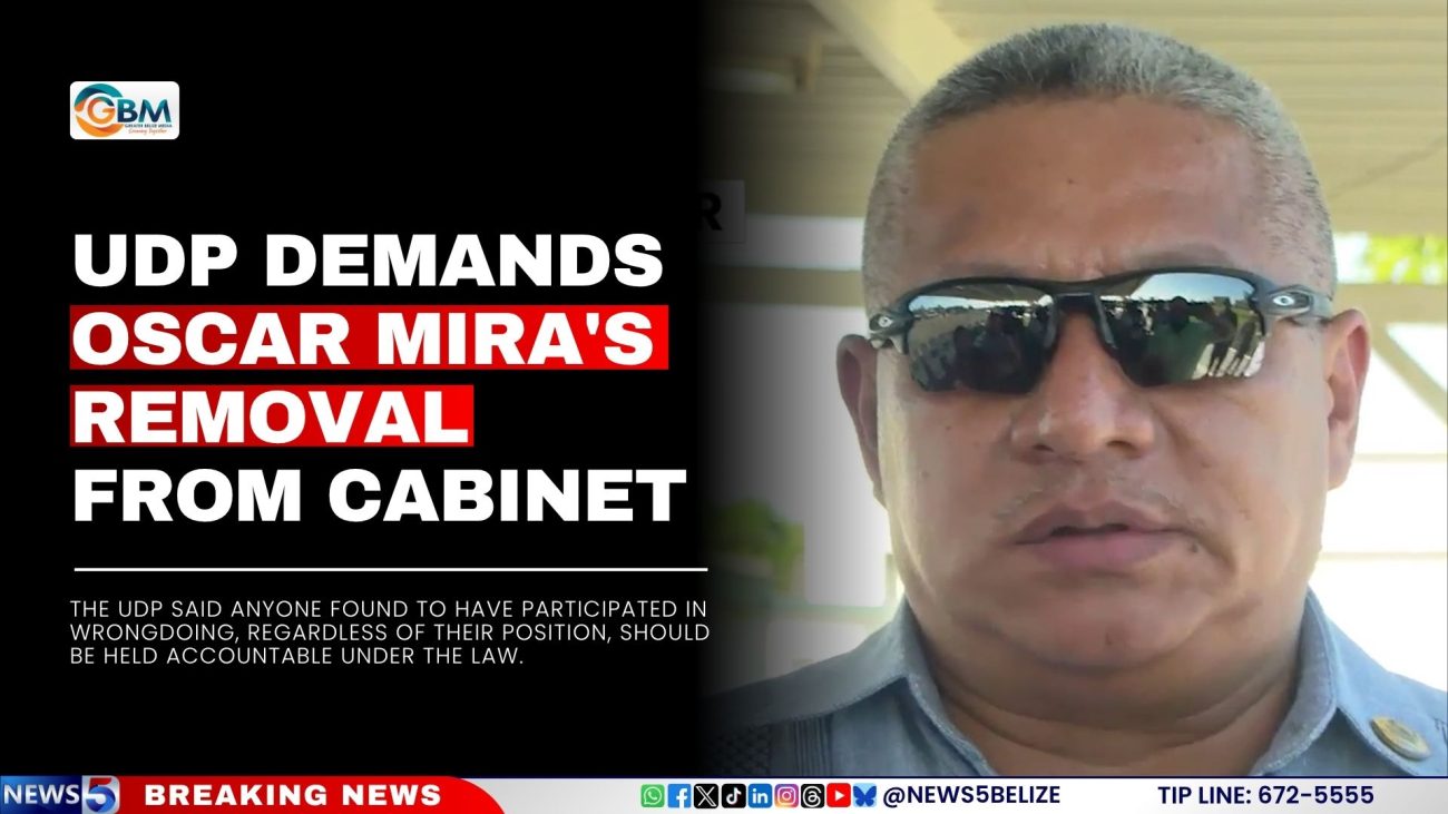 UDP Demands Oscar Mira's Removal from Cabinet
