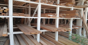 Hardwood Shortage Disrupts Belize Construction Sector