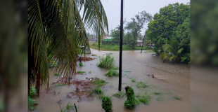 Businesses Closed, School Halted by Floodwaters in Peini