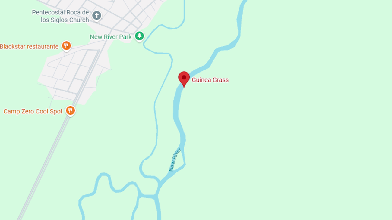 Motorcycle Slams in Horse-drawn Buggy, Teen Dies in Collision