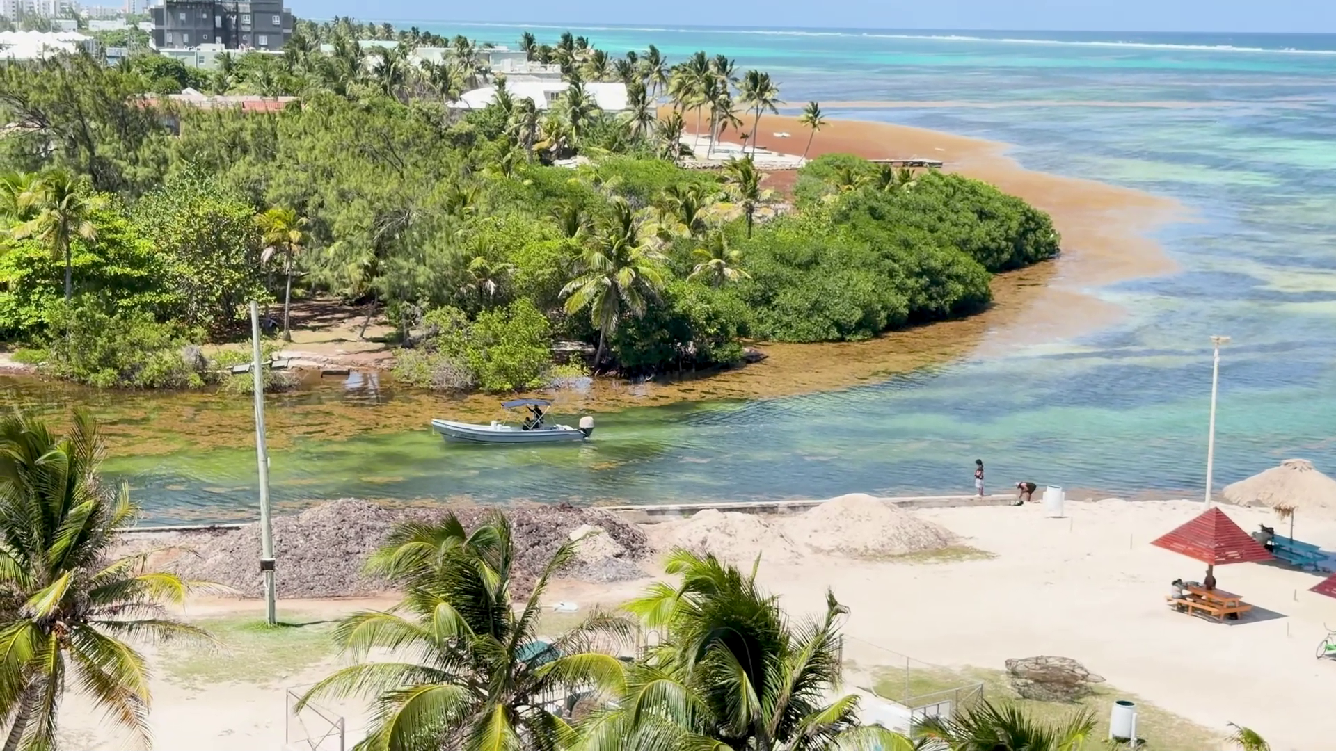 Sargassum Surge Pushes Belize Toward Crisis