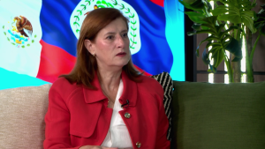 Ana Luisa Vallejo Barba