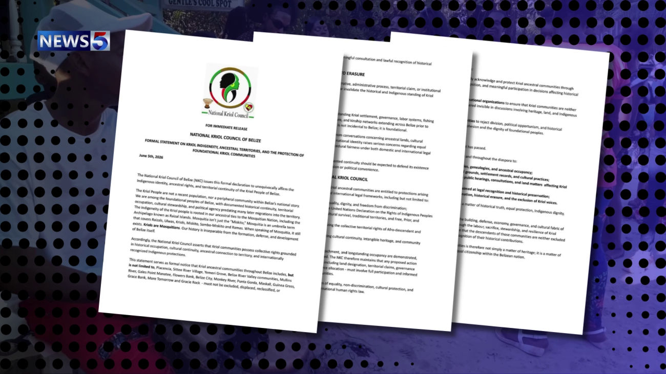 Ethnic Leaders Assert Rights But Reject Division