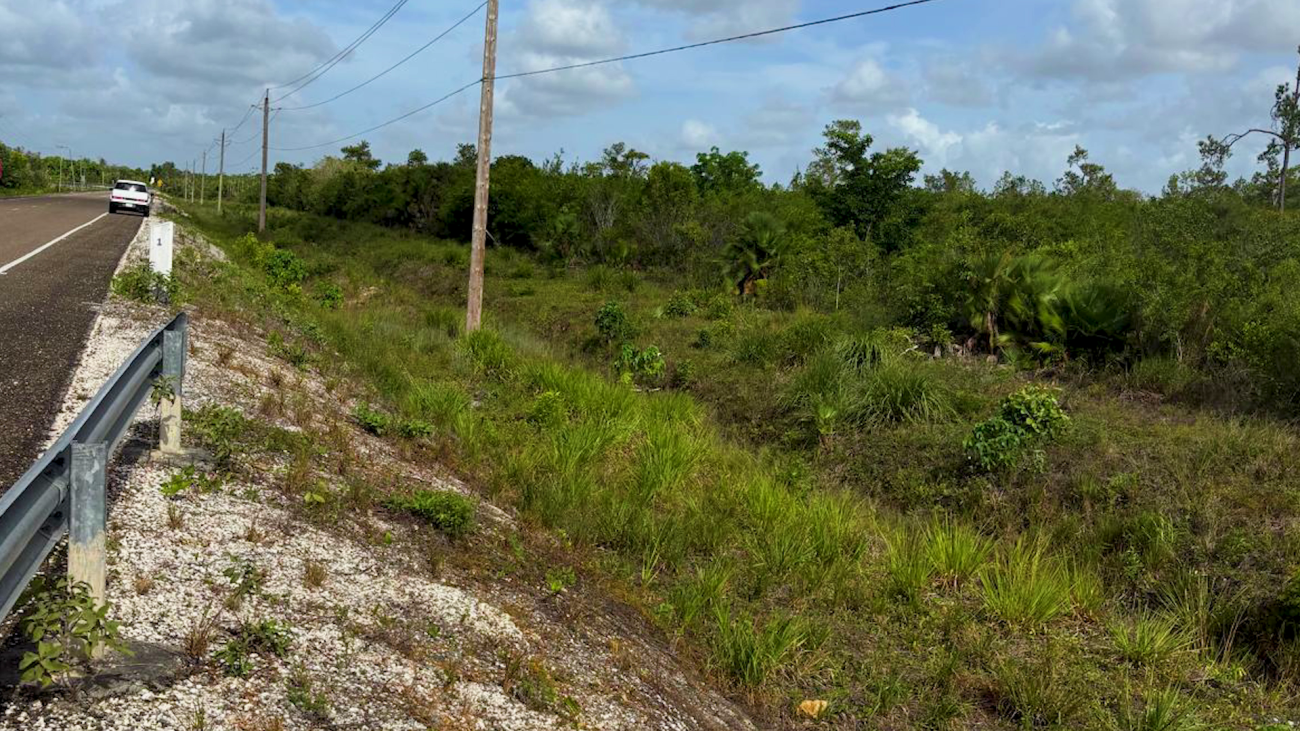 How Geraldine Hyde’s Property in Democracia Was Given Away