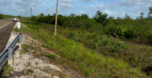 How Geraldine Hyde’s Property in Democracia Was Given Away