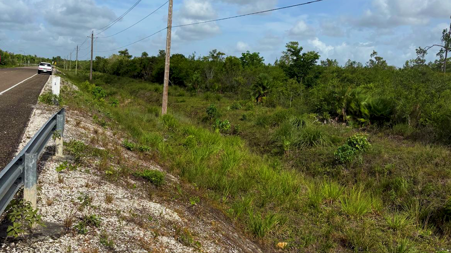 How Geraldine Hyde’s Property in Democracia Was Given Away