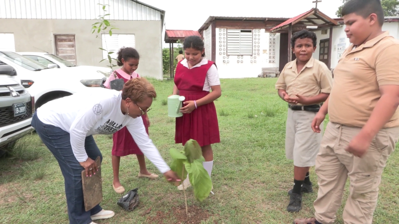 CEOs Lead Charge in National Tree-Planting Drive
