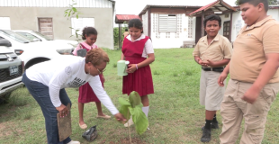 CEOs Lead Charge in National Tree-Planting Drive