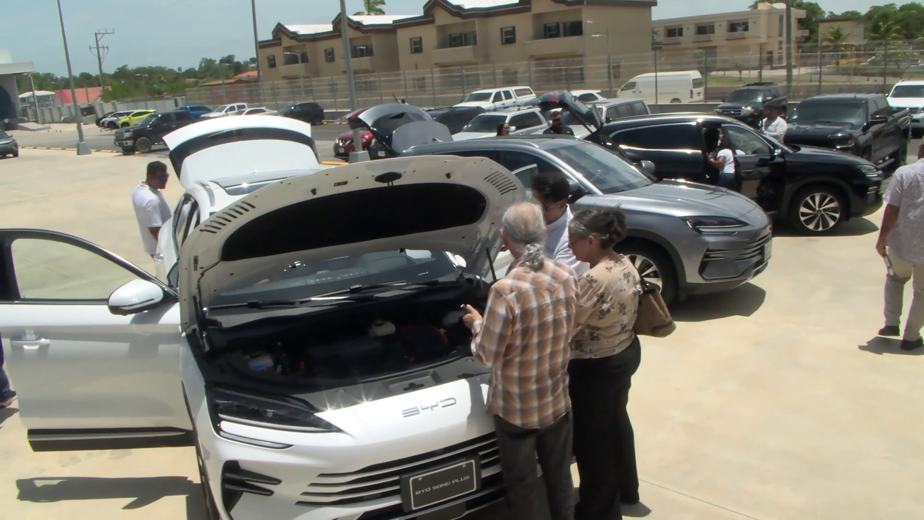 BYD Launches SUV Promising Relief at Pump