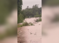 High Alert Remains After Flooding, Despite Improving Conditions