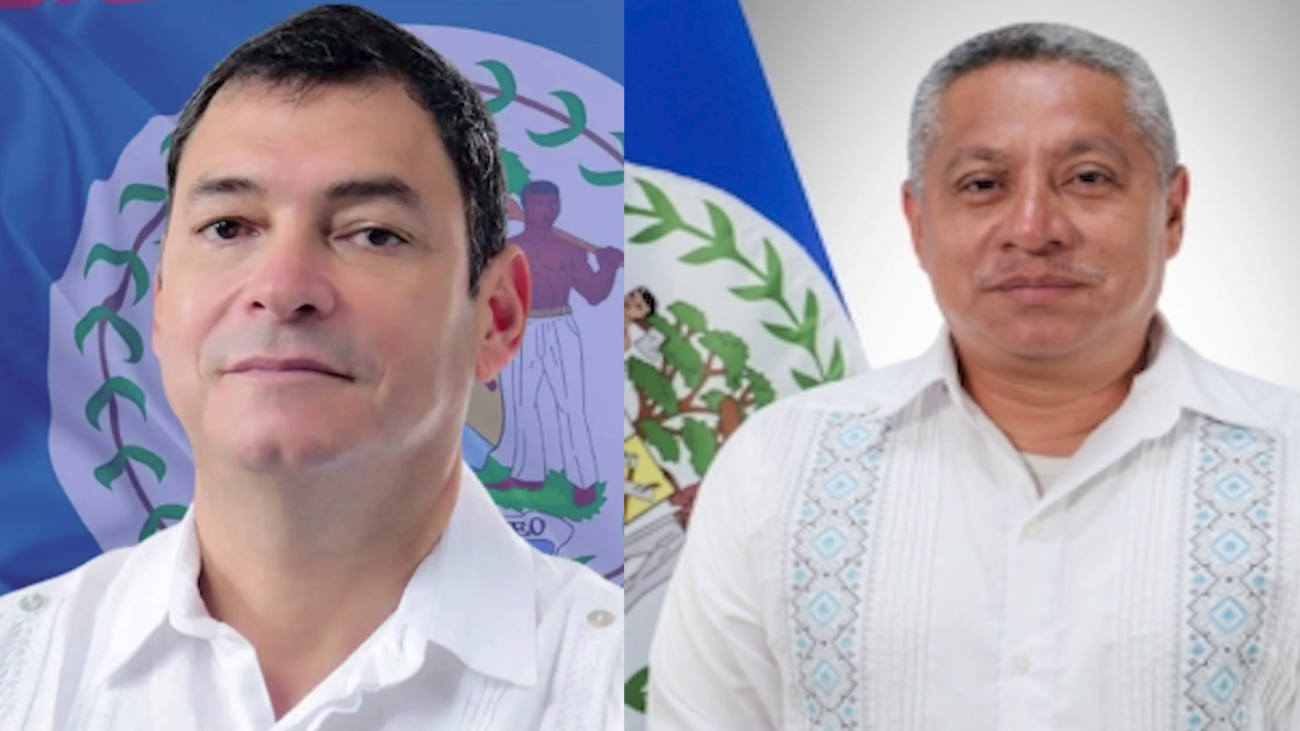 Can One Minister Handle Two Major Portfolios?