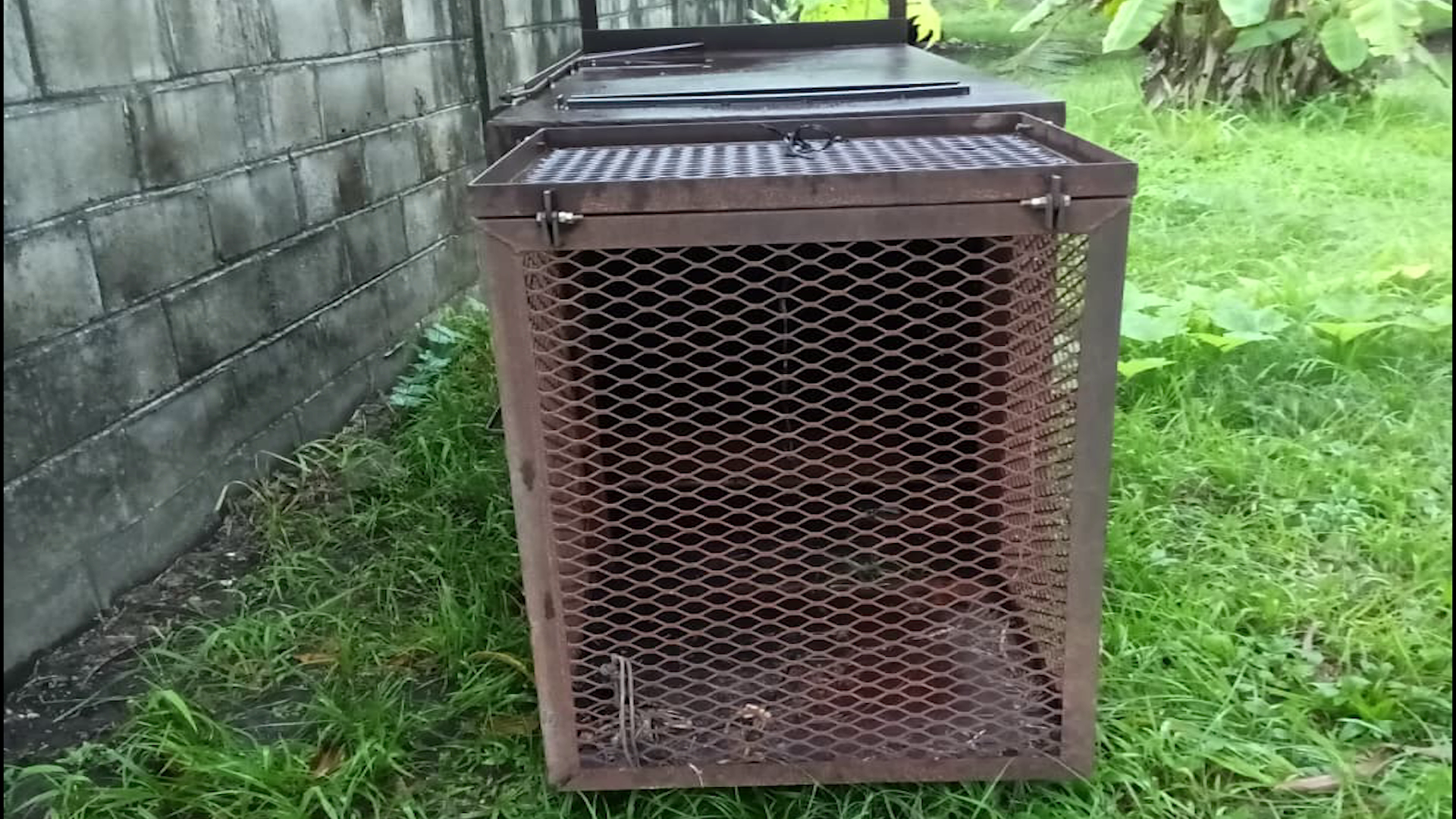 Trap Laid After Jaguar Attacks Pets in Hattieville