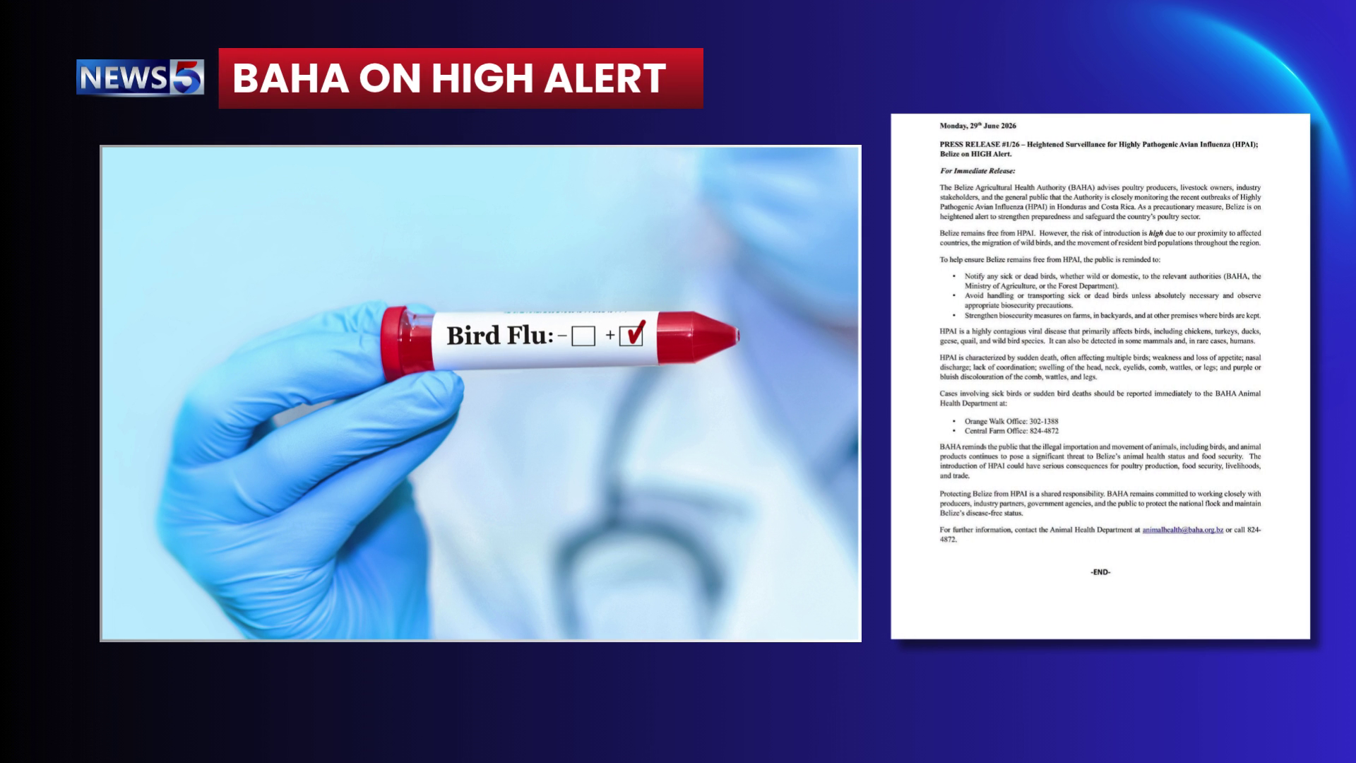Belize on High Alert to Prevent Bird Flu Outbreak