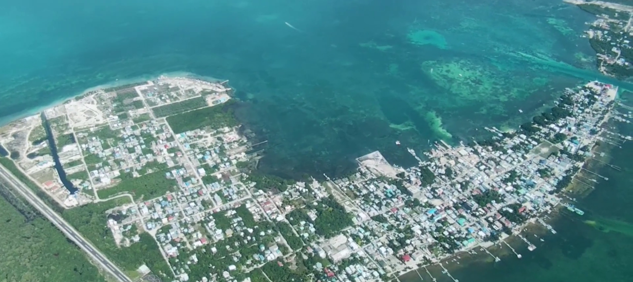 Mangroves Under Pressure as Development Expands on Caye Caulker