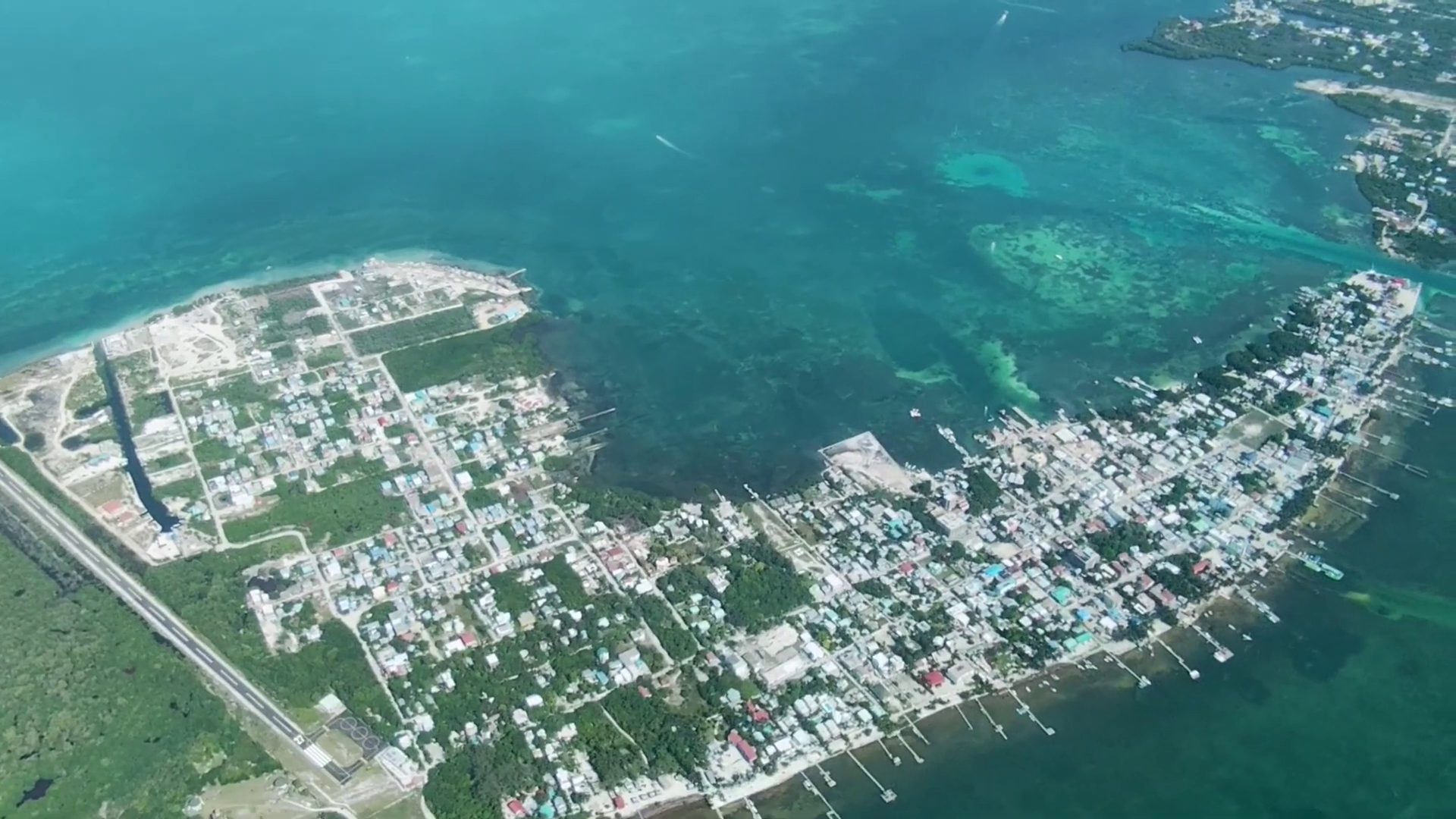 Mangroves Under Pressure as Development Expands on Caye Caulker