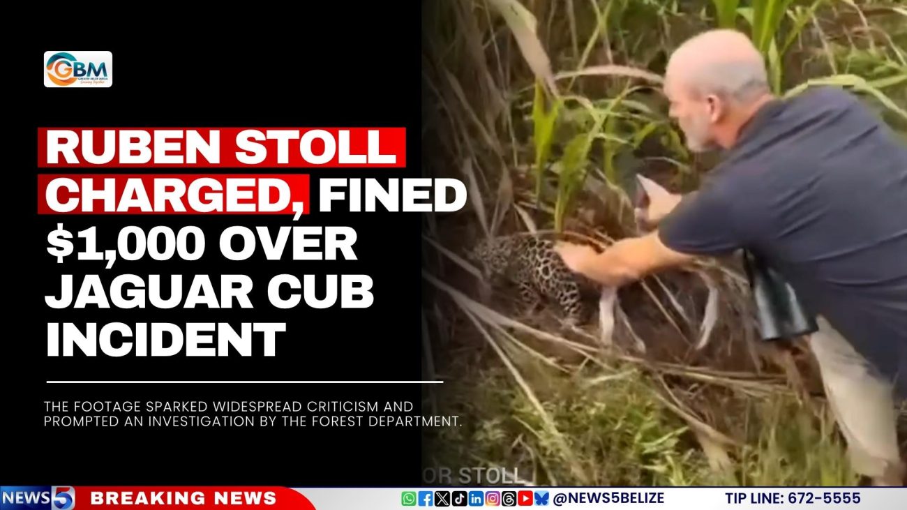 Ruben Stoll Charged, Fined BZ$1,000 Over Jaguar Cub Incident