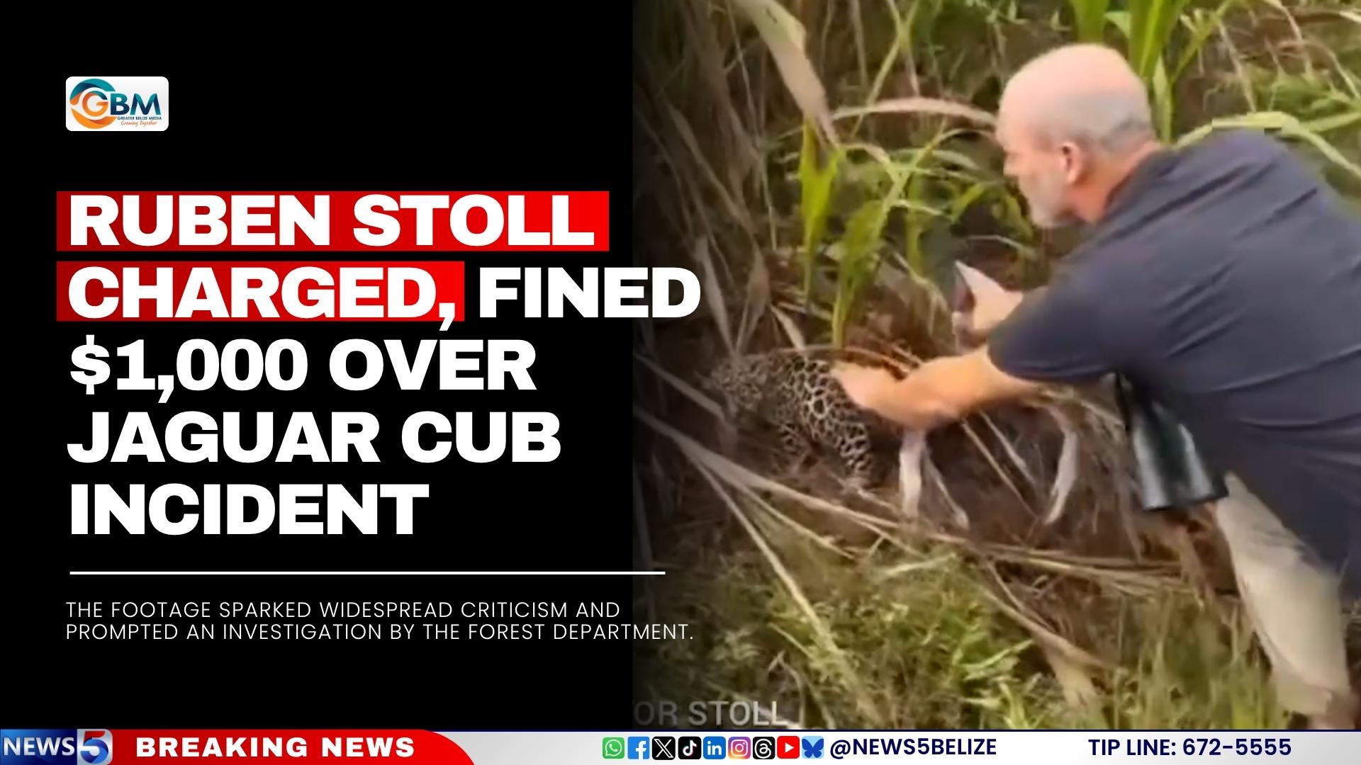 Ruben Stoll Charged, Fined BZ$1,000 Over Jaguar Cub Incident