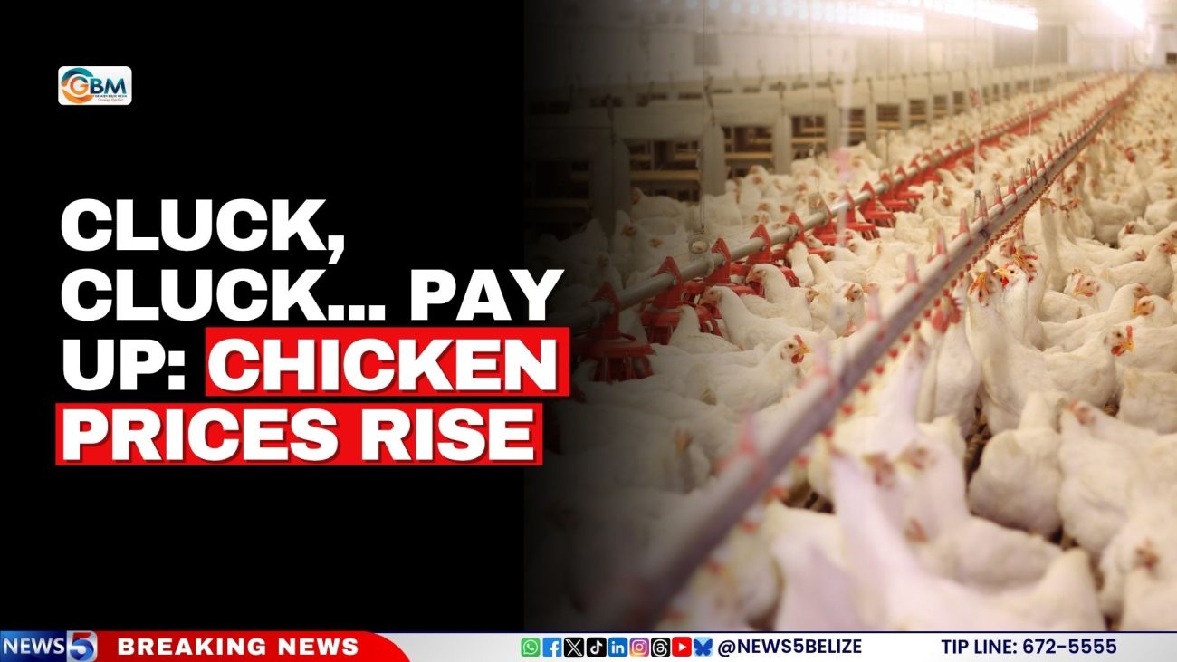 Cluck, Cluck... Pay Up: Chicken Prices Rise